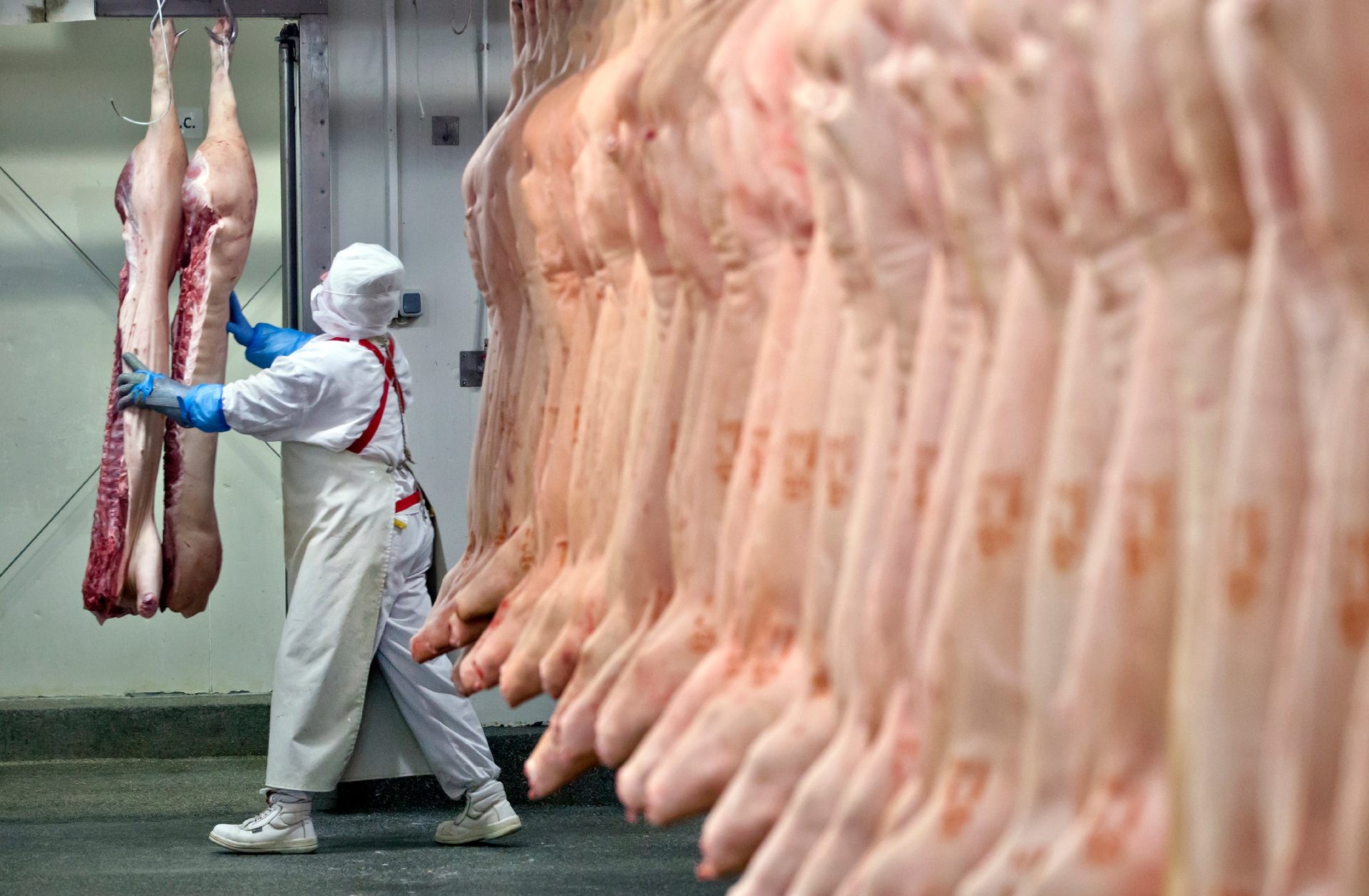 Gobierno extiende freno a las exportaciones de carne - www.eLe-Ve.com.ar
